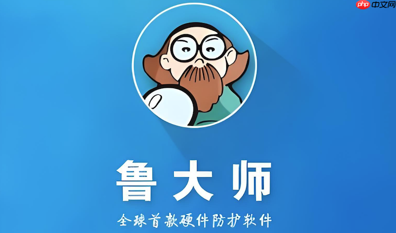 鲁大师怎么看内存条型号_鲁大师查看内存频率与品牌信息