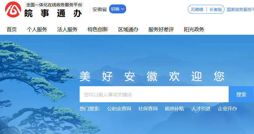 安徽省政务服务网：https://www.ahzwfw.gov.cn/
