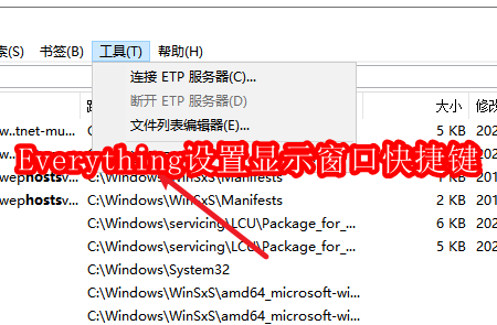 如何自定义Everything搜索工具的窗口显示快捷键