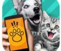 猫狗翻译器在线翻译官网入口-pet translator猫狗翻译器下载